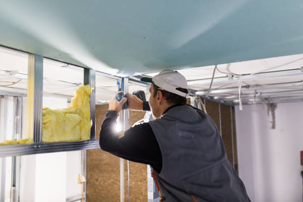 Best Geographic-Specific Insulation Services in Brogden, NC
