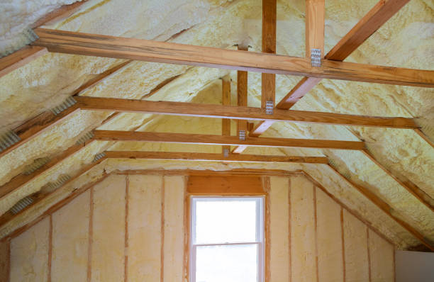 Best Blown-in Insulation in Brogden, NC