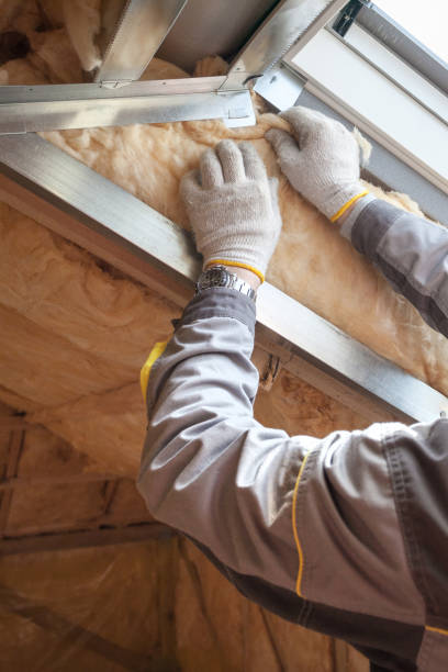 Best Energy Efficiency Insulation in Brogden, NC