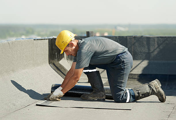 Best Residential Insulation in Brogden, NC