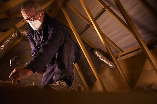 Types of Insulation We Offer in Brogden, NC
